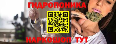 дурь Пугачёв