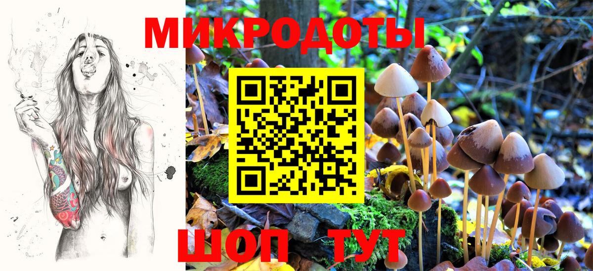 Бахчисарай  Галлюциногенные грибы MAGIC MUSHROOMS  Вход с VPN 